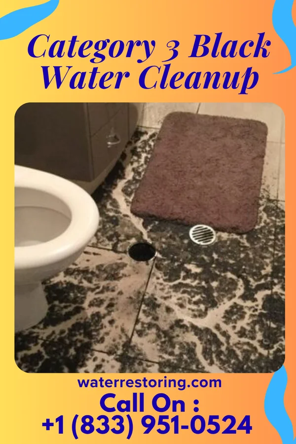 Category 3 Black Water Cleanup in Tarrytown, NY