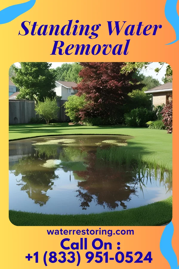 Standing Water Removal in Tarrytown, NY